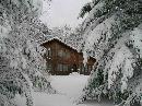 Author Gail Heath's Home in Winter