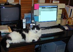 Editor Sammy