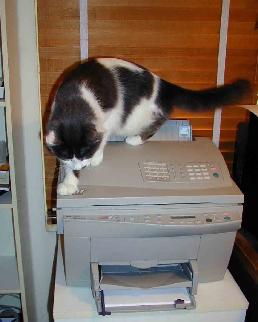 Author's Secretary Sammy